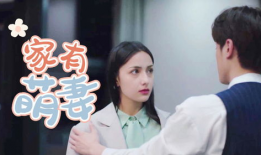 霸道总裁宠妻电视剧,霸道总裁的甜蜜宠妻日常