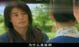 怪侠一枝梅电视剧,江湖传奇，侠骨柔情